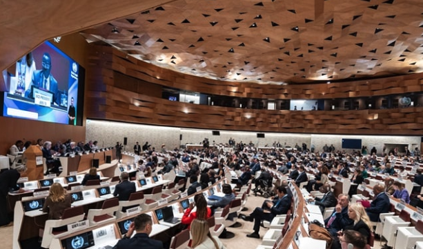 people attending a WHO conference