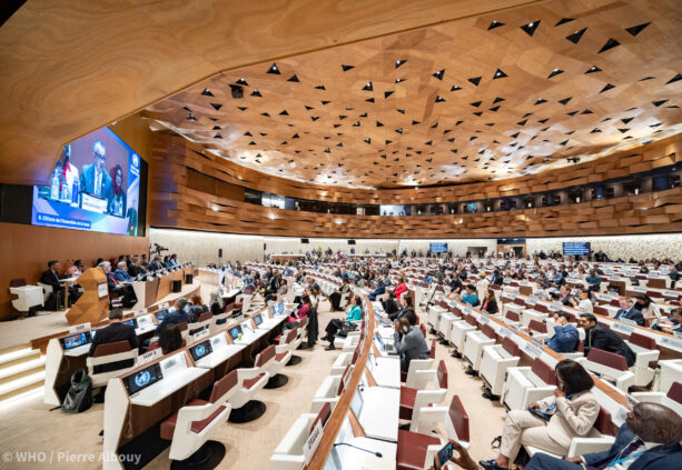 People attending WHA77 meeting