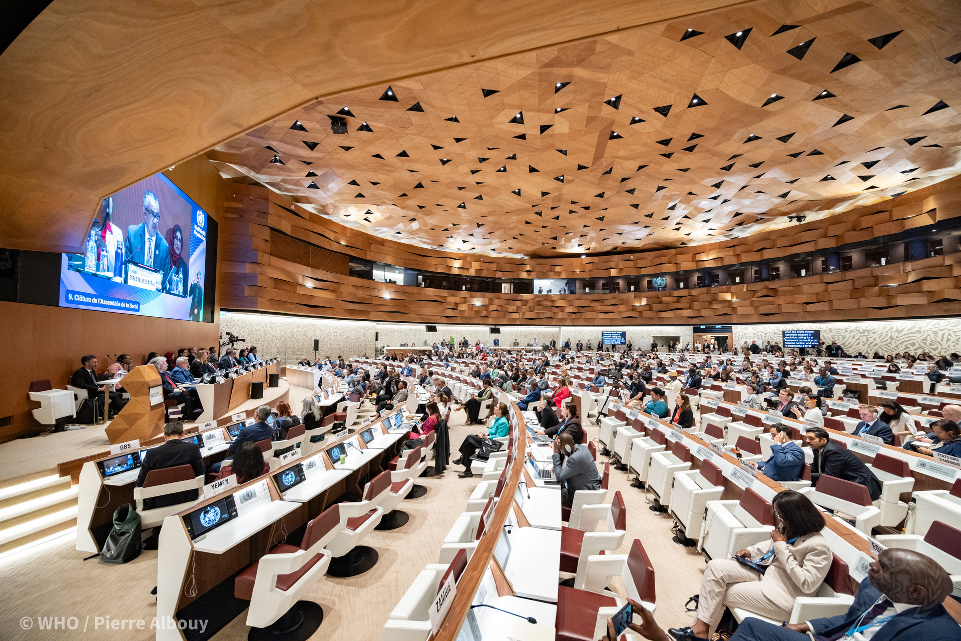 People attending WHA77 meeting