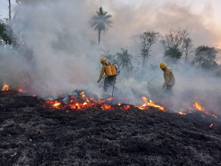 Wildfires in the Brazilian Pantanal. Image by the Brazilian Institute of Environment and Renewable Natural Resources (IBAMA)