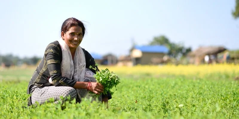 A trained social mediator works in her field in Kailali district. | Photo Credit: DanChurchAid