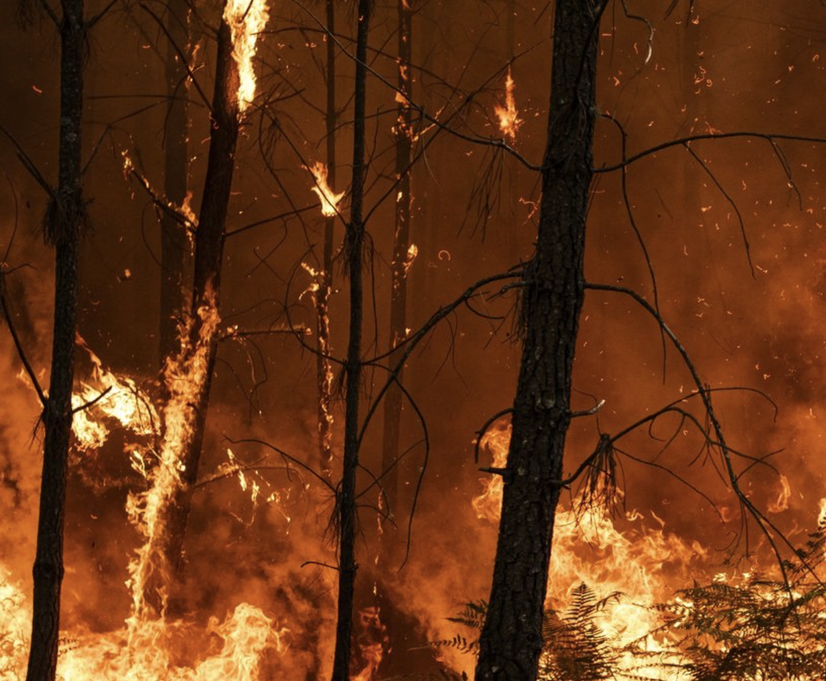 Image of an active wildfire