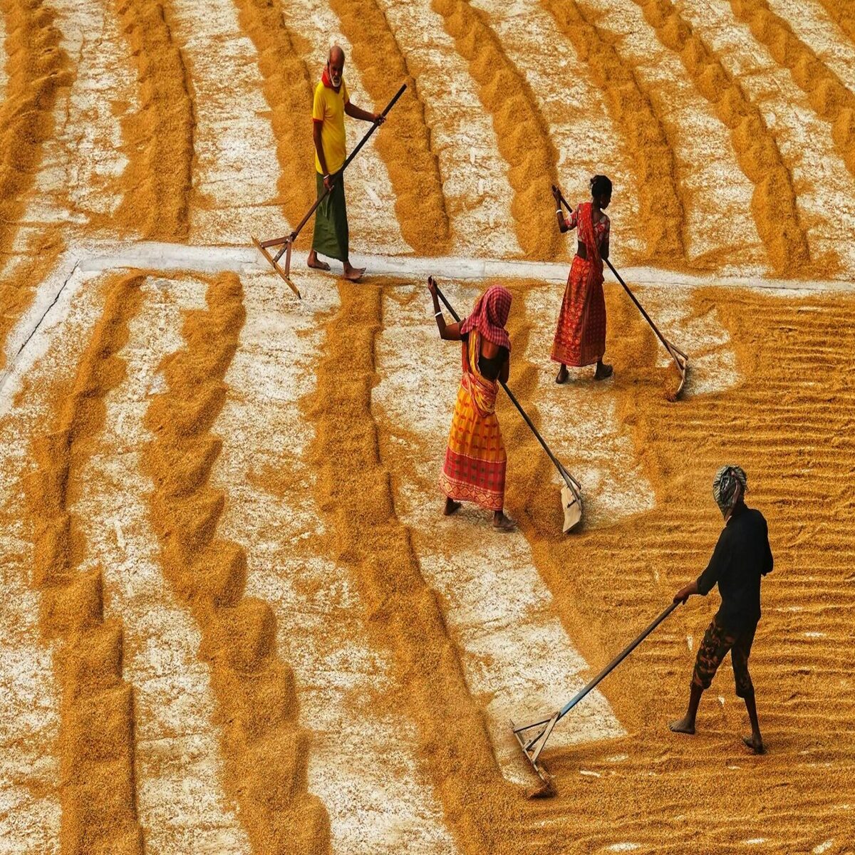 Global Hub for news & research on Climate Health